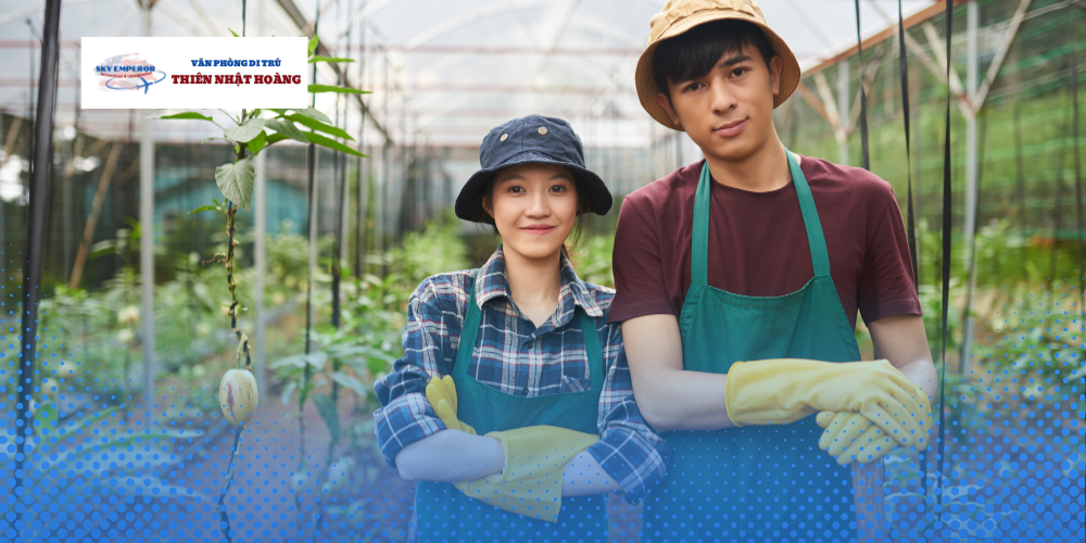 Yếu tố quan trọng cần chứng minh trong hồ sơ EB-3